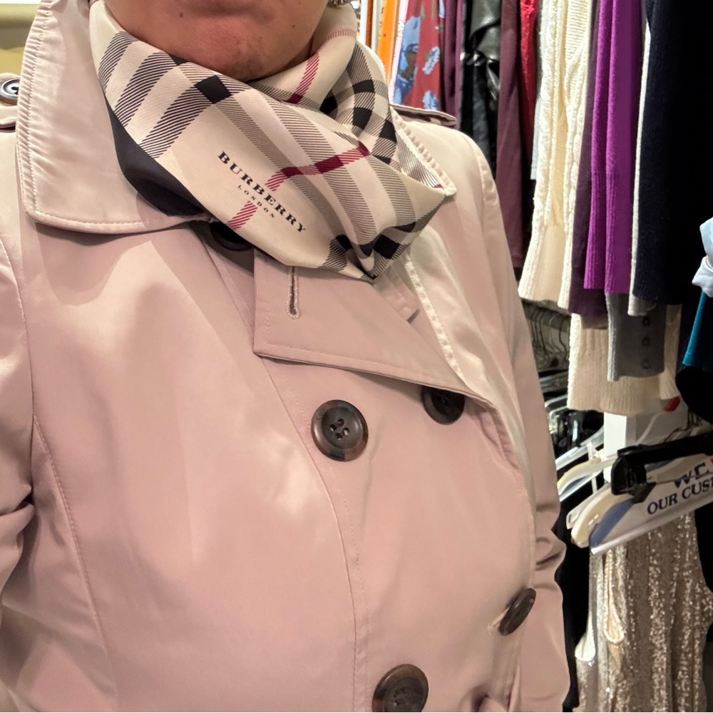 Burberry Beige and Red Plaid Scarf - Picture 6 of 8
